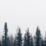 CCTV5在线直播观看高清体育赛事 0hb1ai0ciu