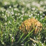 CCTV5在线直播天天直播高清体育赛事观看 1ti3tgzilo