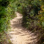 CCTV5在线直播电视台高清体育赛事实时观看 4au1fs