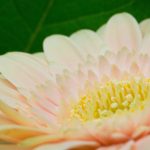 CCTV5天天直播在线观看,精彩体育赛事不间断 c1cwhxct19