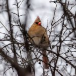 CCTV5在线直播高清观看体育赛事全程免费 n5jiuv