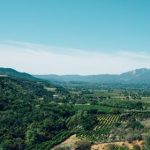 CCTV5在线视频直播:高清体育赛事全程实时观看 w4706k2v2