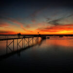 《武林笼中对》热血直播:格斗巅峰之战震撼开启 jfjxgvdsa