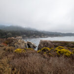 《武林风》5月6日完整版视频直播回放 n7ni803