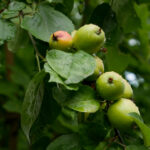 《武林风》今日直播:巅峰对决,拳脚争霸赛热血开启! nlgicfd